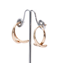 Load image into Gallery viewer, Swing and Sway Earrings