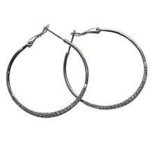 Load image into Gallery viewer, Glamour on The Outside with Lever Back Earrings