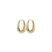 Load image into Gallery viewer, Sleek Elegance Oval Drop Hinge Earrings