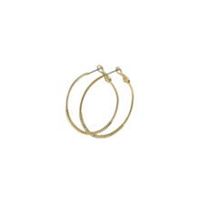 Load image into Gallery viewer, Glamour on The Outside with Lever Back Earrings