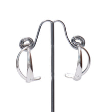 Load image into Gallery viewer, Swing and Sway Earrings
