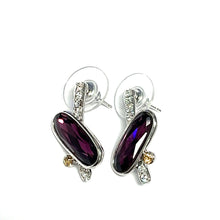 Load image into Gallery viewer, Fabulous Earring Extravaganza!
