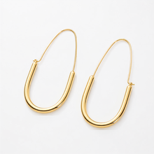 Load image into Gallery viewer, All That Is Wired Hoop Earrings
