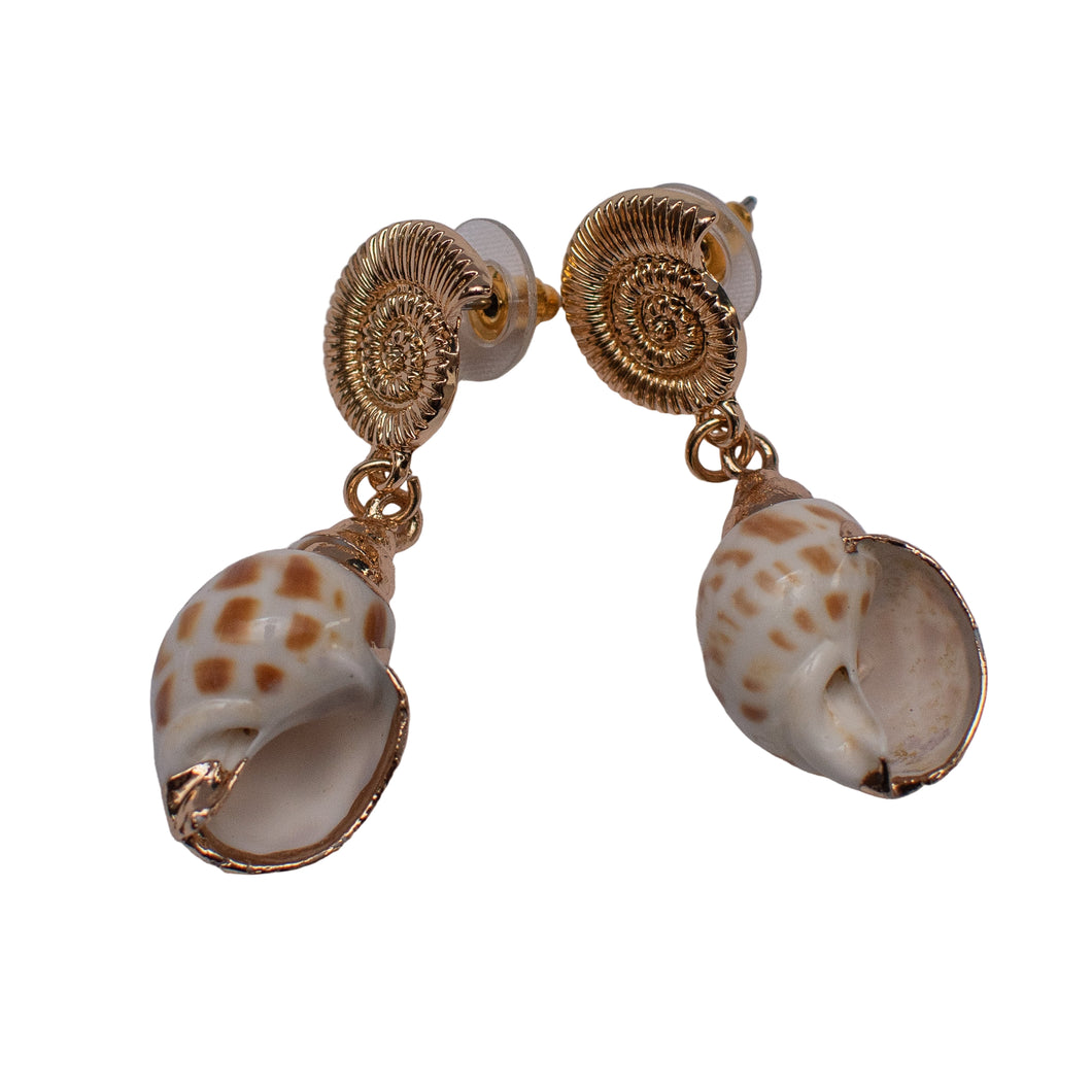 Dangling Shell Earrings