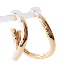 Load image into Gallery viewer, Hoops With A Twist Earrings
