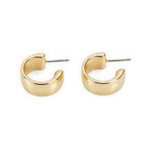 Load image into Gallery viewer, Love The Look Hoop Post Back Earrings
